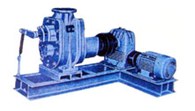 Rotary Magma / Massecuite Pumps